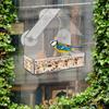 Acrylic Suction Cup Feeding House Birds Hanging Feeder Birdhouse Food Feeding Feeding Cup