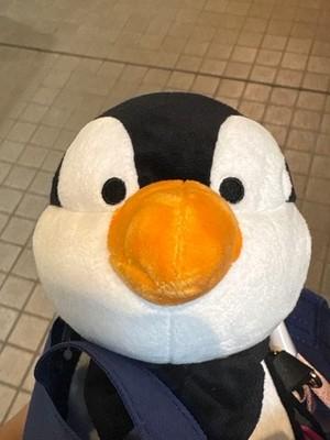 Japan Tokyo Disney Store Mary Poppins Penguin Multi-Pochette Plush-Style Goods
