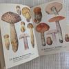[USED] 1972 Czech Mushroom Encyclopedia, Foreign Book, Antique Book