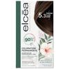 Coloration Permanente - Elcéa - 5.3 Châtain Clair Doré - Sans Ammoniaque - Crème - Tous Types De Cheveux