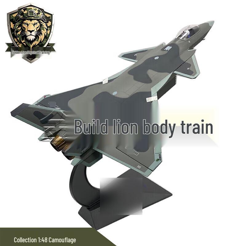 J-20 Fighter Jet Alloy Model