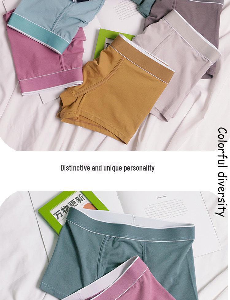 3-Pack Men's Plus Size Solid Color Cotton Boxer Shorts: Simple, Casual Sports Underwear for Young & Middle-Aged.