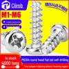 304 Stainless Steel Self-Tapping Round Head Screw, Flat Tail, Cross Pan Head, M3/M4/M5/M6