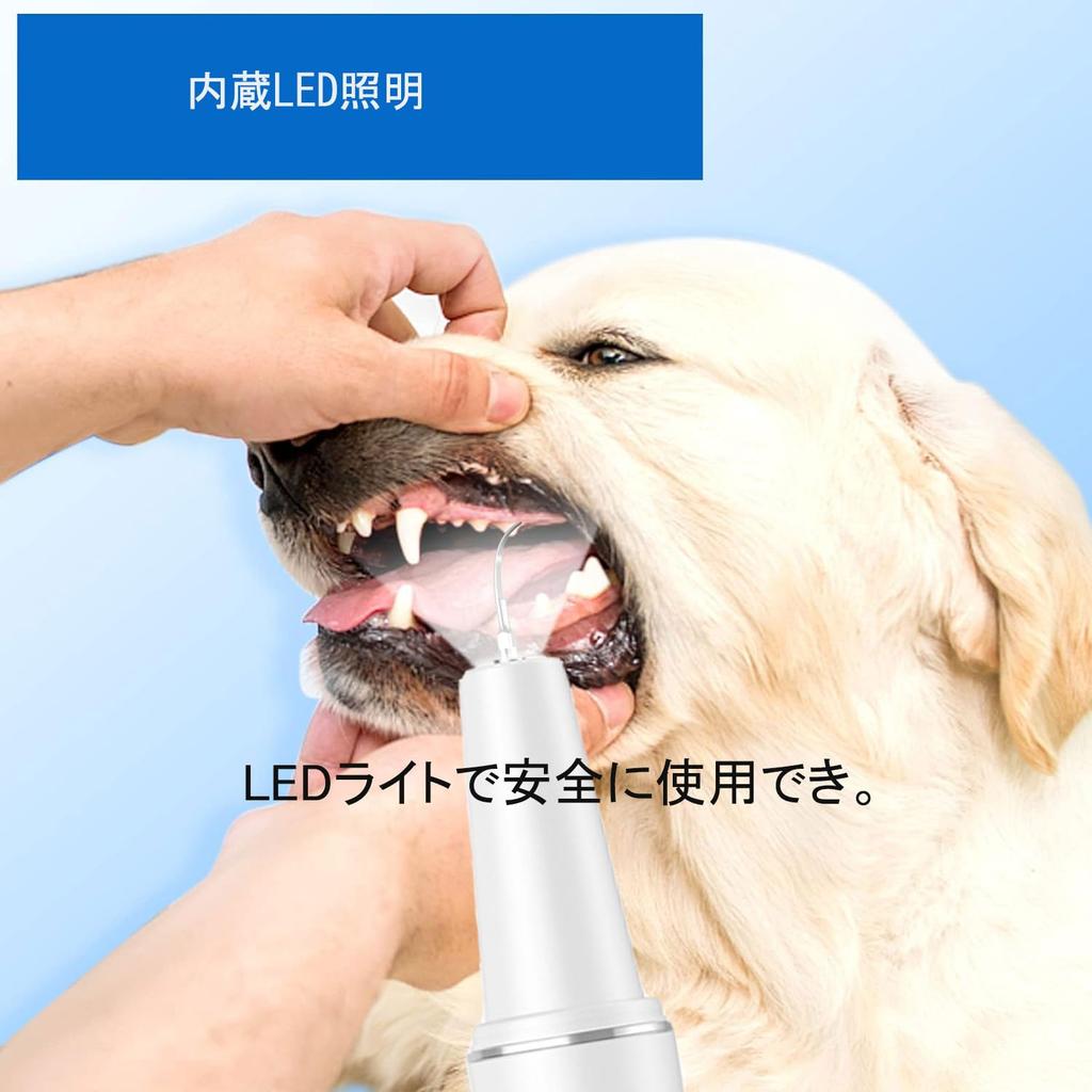 BOJNGEWIN Ultrasonic Teeth Dog USB 5 Adjustable LED Cleaning IPX6 for Cats and Dogs Cleaner, Toothbrush, Rechargeable, Modes, Built-in Lighting, Kit,