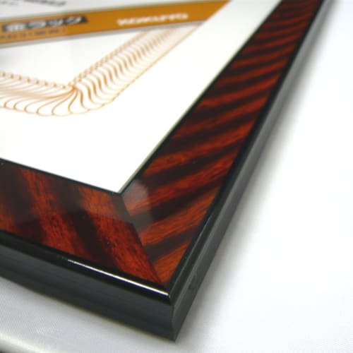 KOKUYO Gold Frame Rack for Certificates, New B4 Size, Ka-17N