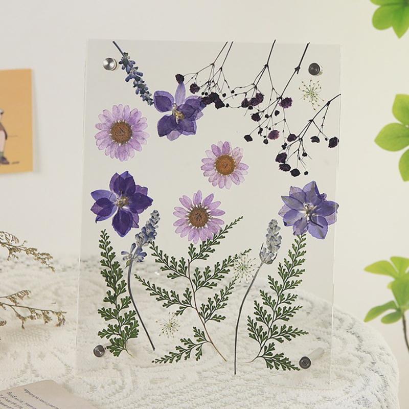 6 Inch Clear Acrylic Pressed Flower Frame Floral Keepsake Frame -Minimalist Tabletop Po Display For Home & Office Desk Decor