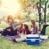 Outdoor Insulated Cooler Box Lunch Box for Camping Picnic Beach Car