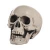 Halloween Skull Head Decor Plastic Realistic Human Skull Figurine for Graveyard Scene Haunted House Bar Home Table Decorations