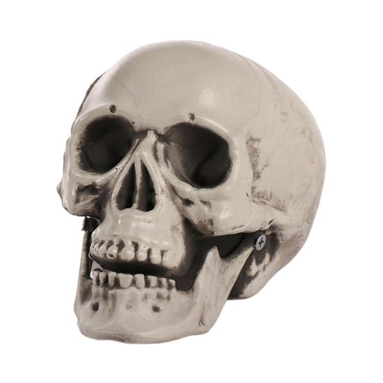 Halloween Skull Head Decor Plastic Realistic Human Skull Figurine for Graveyard Scene Haunted House Bar Home Table Decorations