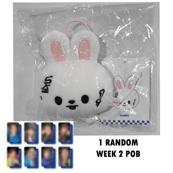 Stray Kids Skzoo Name Tag (Karma) POP UP