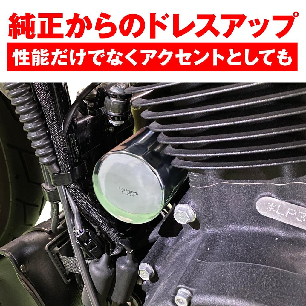 Daytona () Replacement Filter for Motorcycles, Harley Davidson Dyna Rider[FXDL] (99-17), Chrome-plated, Equivalent to 21046, No: F-28