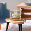 Dollhouse Miniature Glass Fish Tank Ornaments Simulation Aquarium  Model Home Decor Toy Doll House Accessories