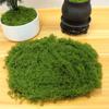 Simulation Moss Diy Artificial Moss Green Plant Decoration Landscaping Bonsai Pavement Silky Fake Moss