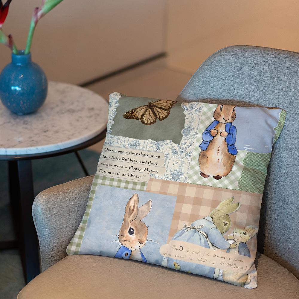 P-Peter Rabbit printing Cushion Cover 2-in-1 Reversible Plush Pillow Cover | Car/Sofa/Bed | Perfect Gift