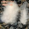 Dream Macaron Diy Bouquet Wreath Decorative Feather Bobo Ball Feather Gift Box Filler