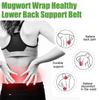 Mugwort Wrap Healthy Lower Back Support Belt, Ease Lower Back Discomfort With An Adjustable Support Strap