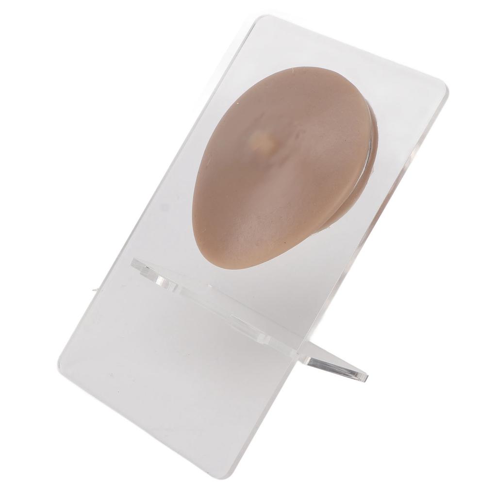 Soft Silicone Single Nipple Model 3D Elastic Simulation Reusable Display Props Body Piercing Model
