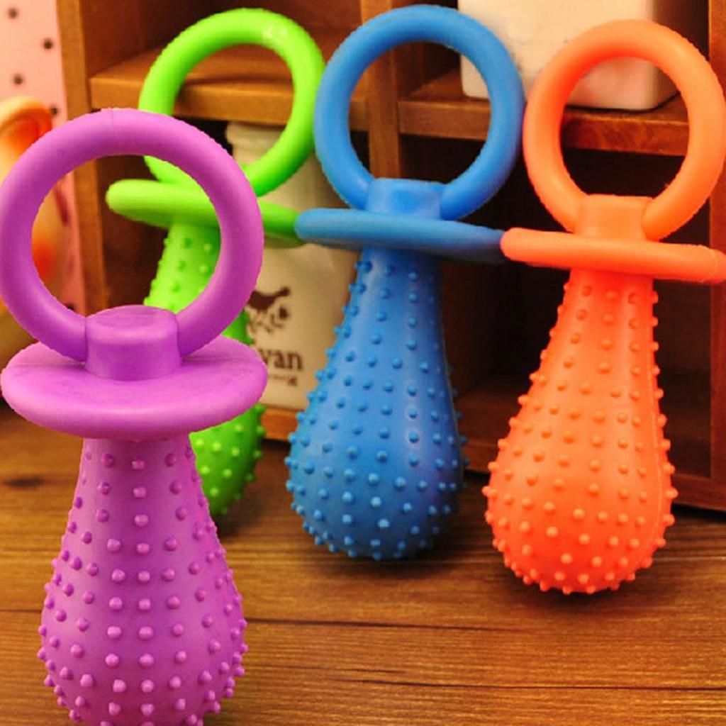 dog chewing pacifier