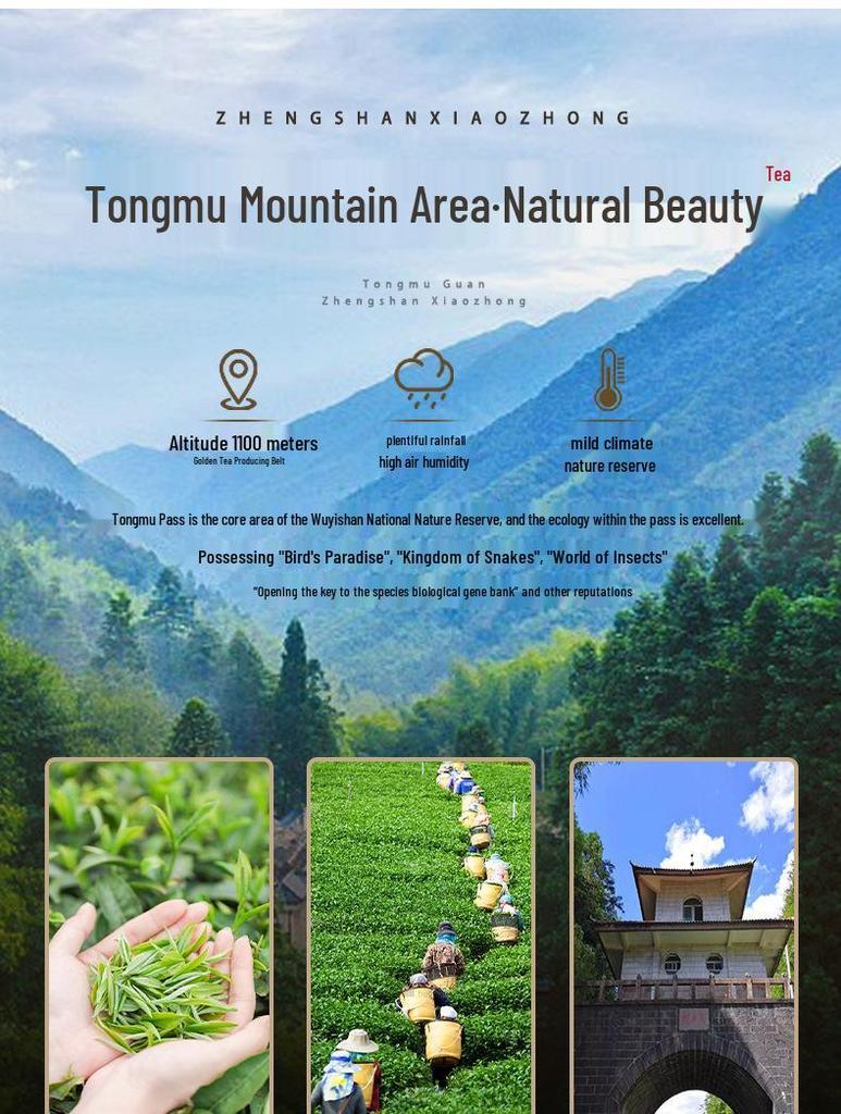 Premium Wuyi Da Hong Pao Oolong Tea Leaves Gift Box - Strong Aroma High-End Pu-erh Tea for Gifting