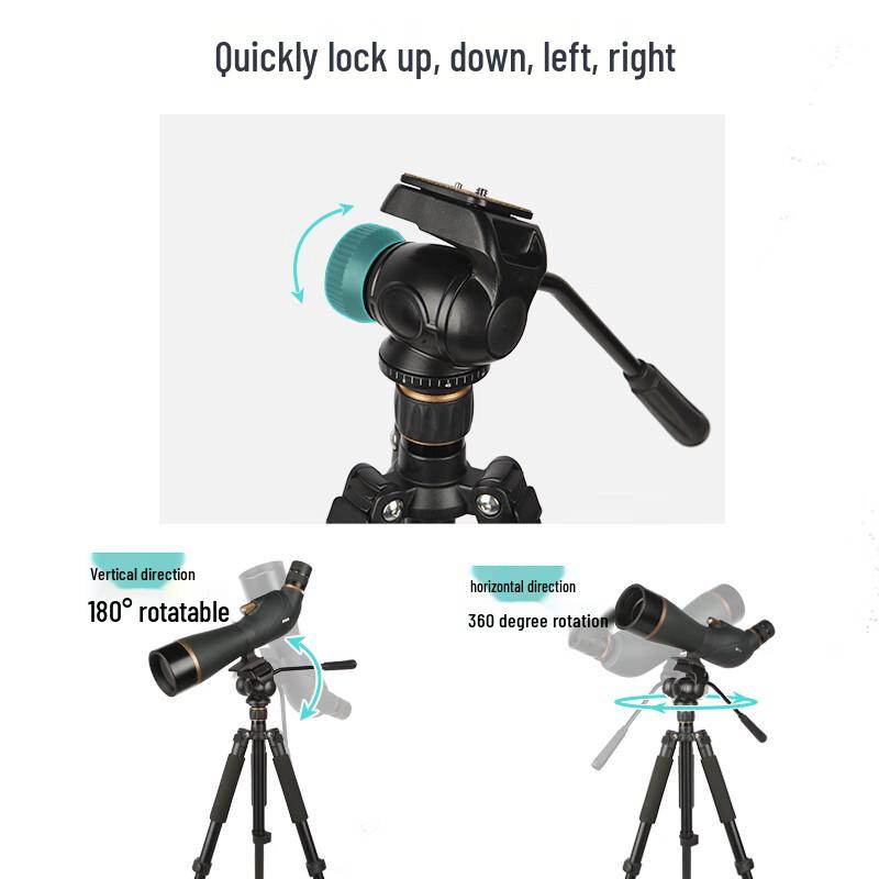BOSMA TP36-1 Binocular and Photography Tripod