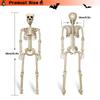 90cm Halloween Skeleton Decor Poseable Joints For Creepy Positions, Perfect For Yard/haunted House Displays Skeleton Props
