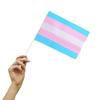 New 2025 Rainbow Hand-waving Flag Lesbian Gay Bisexual Transgender LGBT Pride Flag 14x21cm Pride Month Pretty Party Flag