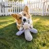 Puppy Teething Relief Toys Squeaky Plush Dog Toy, Cute Animal Shape, Durable Corduroy Crinkle Paper Chew Interactive Training for Dogs Pet Teeth