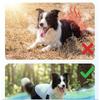 Dog Clothes Thin Adjustable Cooling Vest Large Dogs Color Block Pet Clothing