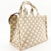 CELINE Triomphe Small Hippo Thais Handbag 19916 2EZ6 01BC 2WAYShoulder beige canvas Women Used
