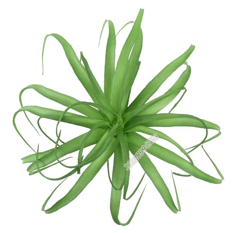 Artificial Flocking Fake Bromeliads Air Plants Hanging Simulation Tillandsia Plants For Home Wedding Party Flower Decoration