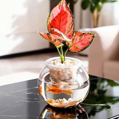 Multi-functional Transparent Hydroponic Vase Plastic Mini Fish Tank Decorative Flower Pot Office