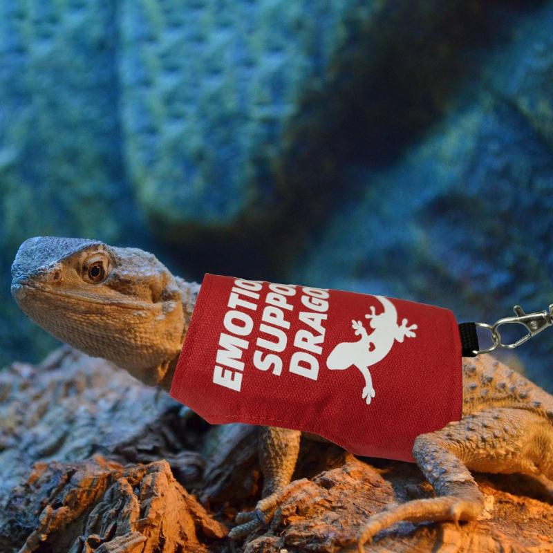 Lizard Harness and Leash Set, Pet Reptile Outdoor Chest and Back Strap, Specifically Designed for Chameleons and Squirrels