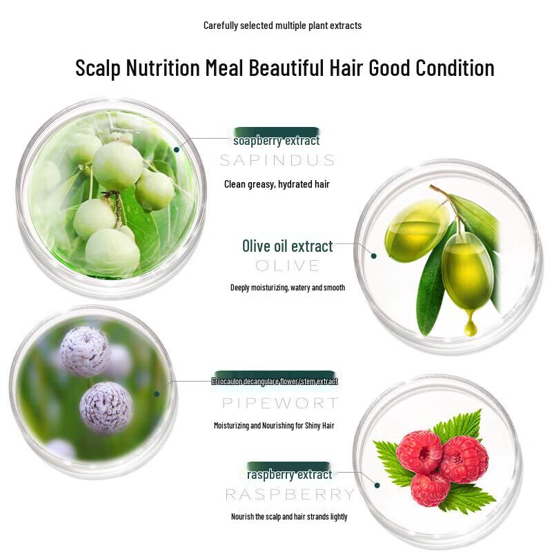 seeyoung Soapberry Moisturizing Nourishing Shampoo Twin Pack