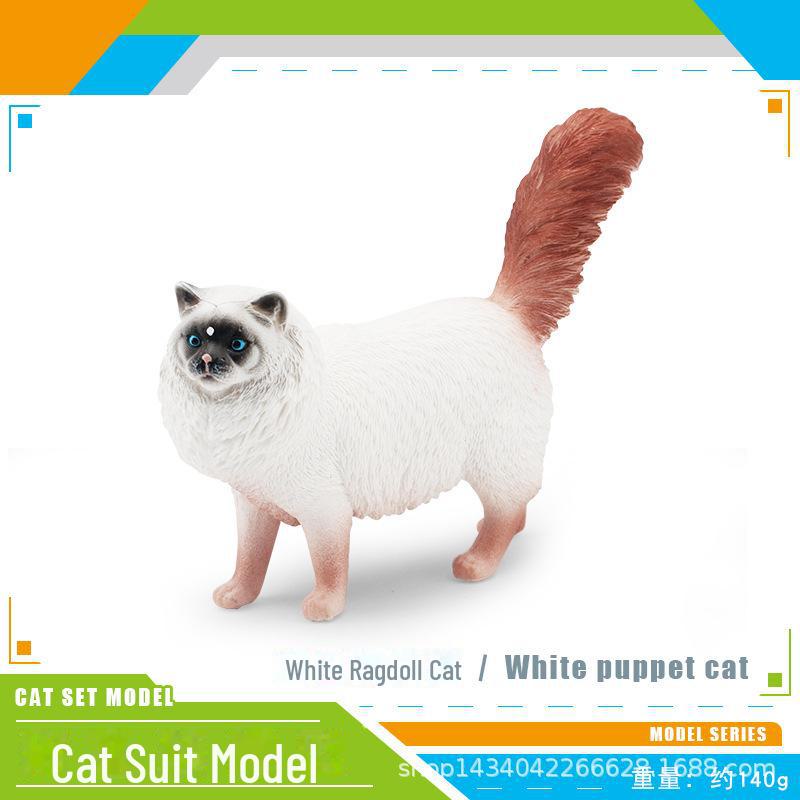 Seashell Cat Figurine: Realistic Kitten Toy Model