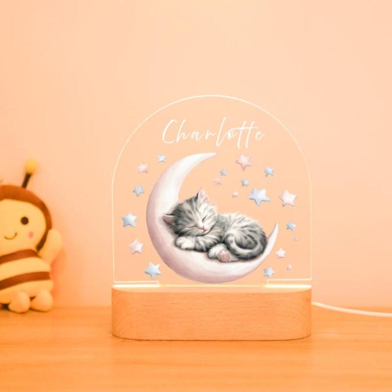 Personalized Pet Luminous Ornament Dreamy Bunny Moon Lamp Valentine Day Surprise Gift For Pet Lovers Warm Home Decoration Kids