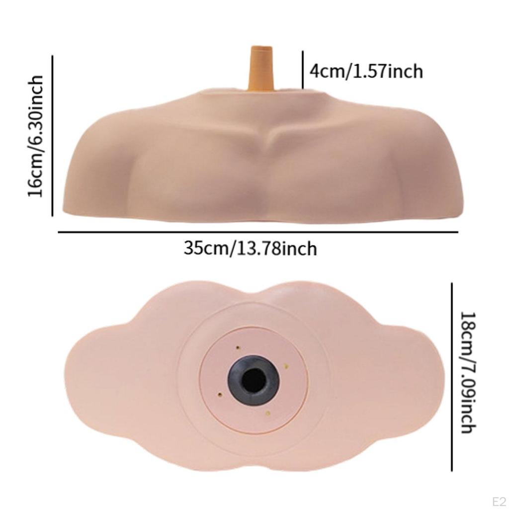 Mannequin Head Stand Shoulder Model Bust Professional Cosmetology Manikin Display for