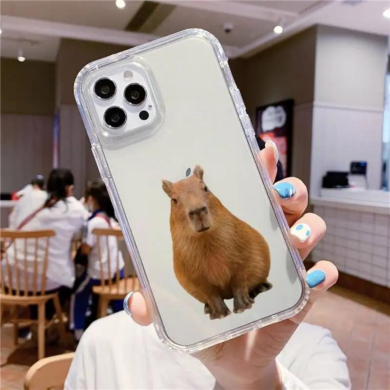 Cute Capybara Phone Case For iPhone 16 15 14 13 12 11 Pro Max Mini X Xs XR 7 8 Plus SE 2020 Transparent Case