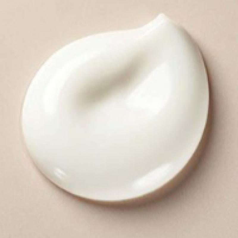 Swanicoco Fermentation Snail Skin Toner 120ml+emulsion 120ml Set