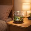 Cylinder Glass Terrarium Perforated Cover Moss Plant Pots Art Vase Micro Landscape  Indoor Planting