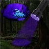 21 LED UV Ultraviolet Flashlight Blacklight 395NM Mini Torch Flash Lamp For Pet Urine Stains Portable Black Light Flashlights