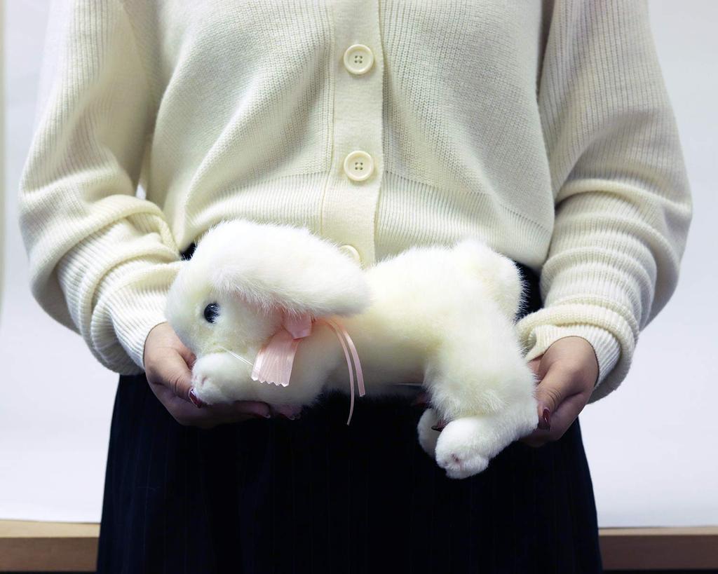 Yoshitoku Lop Ear Rabbit SWH