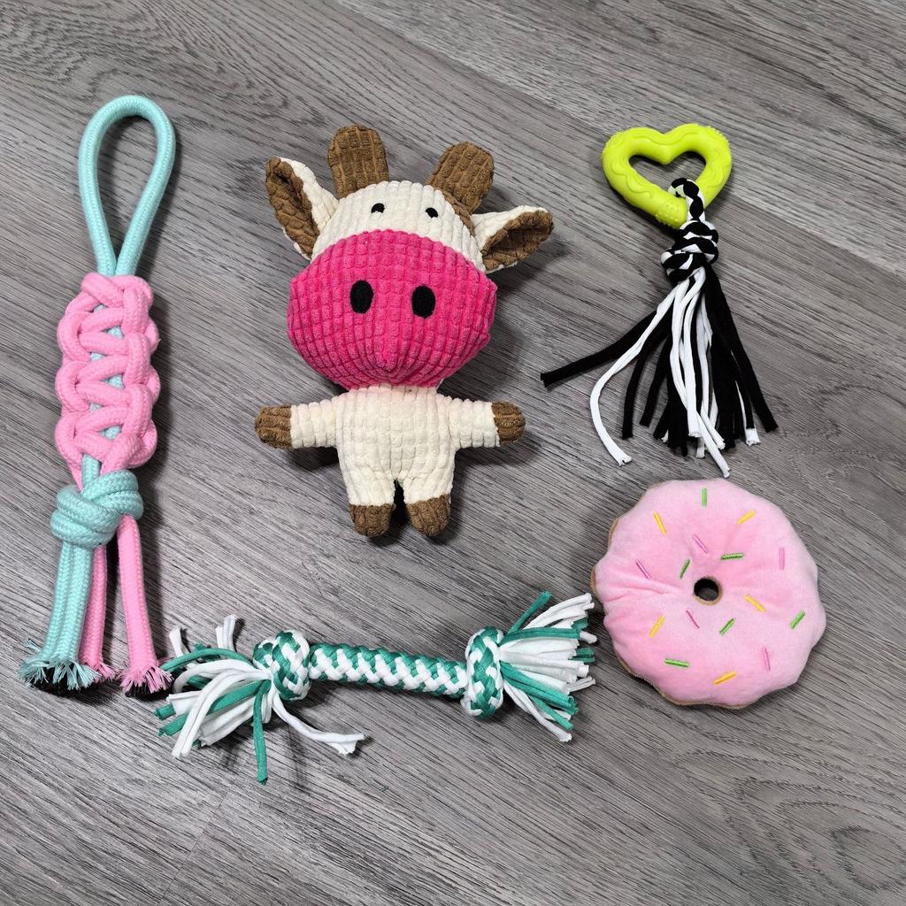 New Dog Cotton Rope Toy Set Squeaky Chew Toys for Small Dogs Puppies Teeth Cleaning Play Knot Toys for Indoor Toys for Puppies
