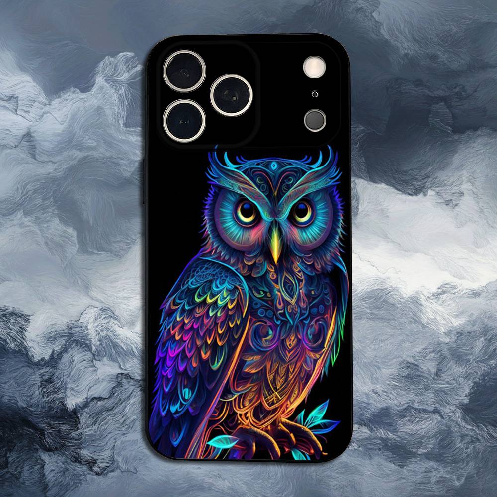 Cute C-Colorful Owl B-Bird For iPhone 12,14,13,15,8,7,16,11,17,X,Mini,Plus,Pro,XR,SE,XS,Max,Soft Silicone Black Case