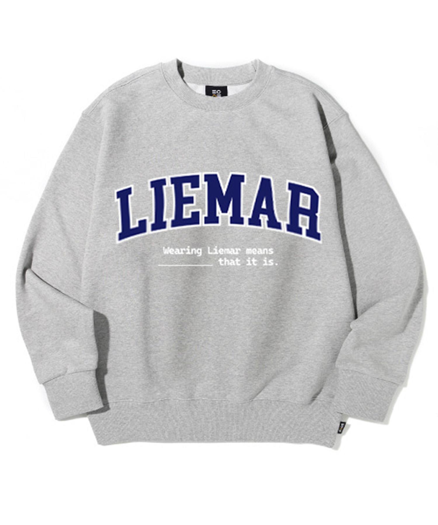 Свободная толстовка Riemar Signature [Серая] M