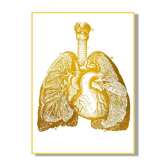 Human Organ Bone Tissue Structure Poster Golden Nordic Retro Style Canvas Painting Living Room Wall Art Prints Modern Home Decor No Frame