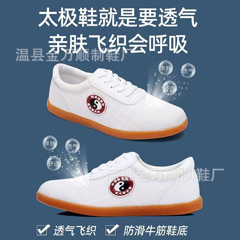 Tai Chi Shoes Men's and Women's Soft Cowhide Beef Tendon Sole Tai Chi Practice Training Sports Spring and Summer Mesh Shoes Leather Martial Arts Shoes