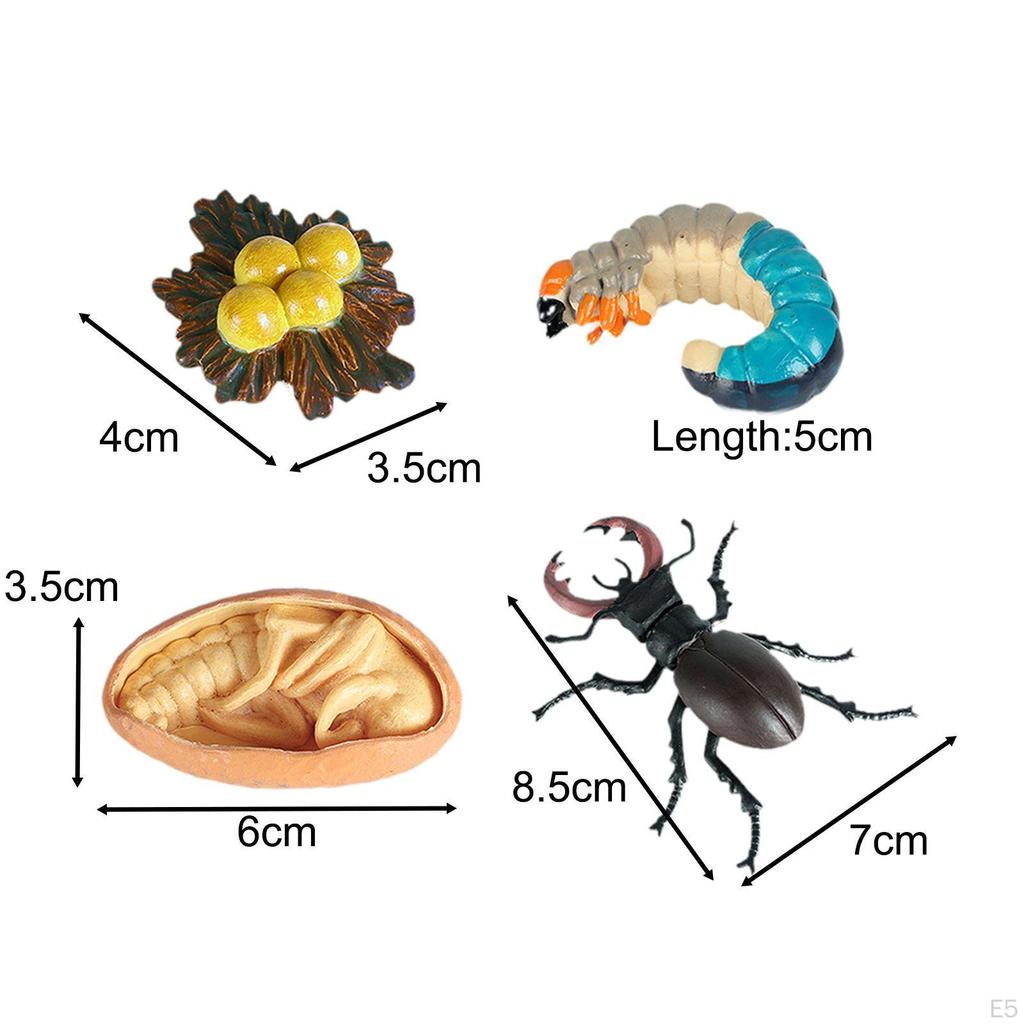 Animal Model Toy Worms Growth Cycle Ornaments Educational Set for Kindergarten Boys Children