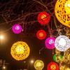 Luminous Hydrangea Ball-in-Ball Tree Decorative Light