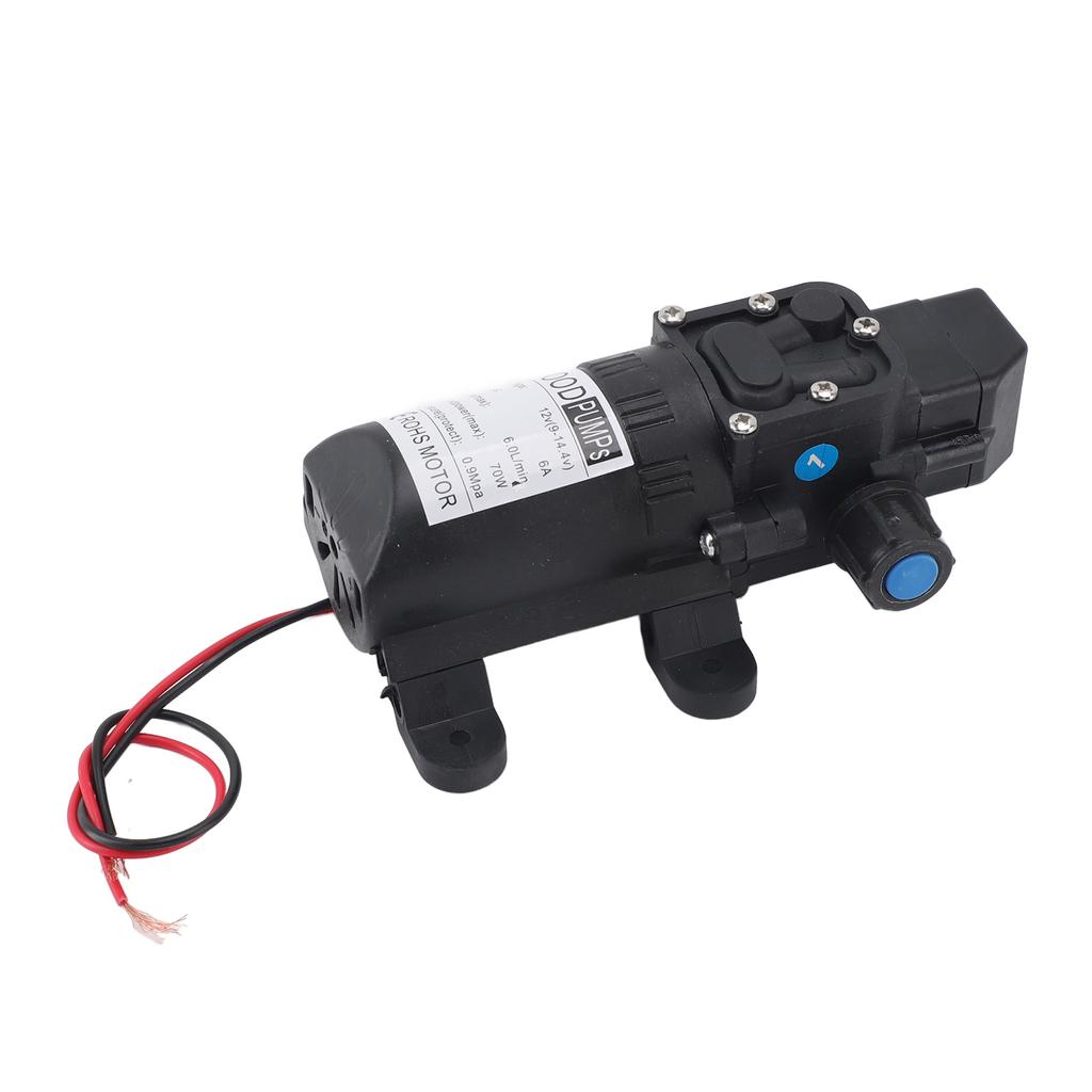 12V Membranpump Automatisk Avstängning Mini Smart Elektrisk Membranpump för Tryck Biltvätt