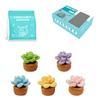 Crochet Flower Set with Step-by-Step Tutorial Instruction Crochet Potted Plant Crochet Knitting Supplies for Beginner